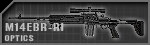 M14EBR.jpg